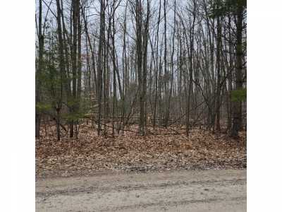 Residential Land For Sale in Greenbush, Michigan