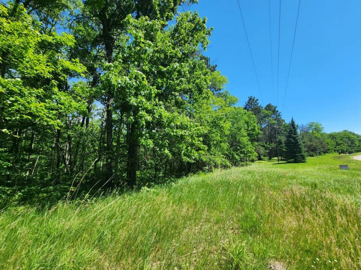 Picture of Residential Land For Sale in Lewiston, Michigan, United States