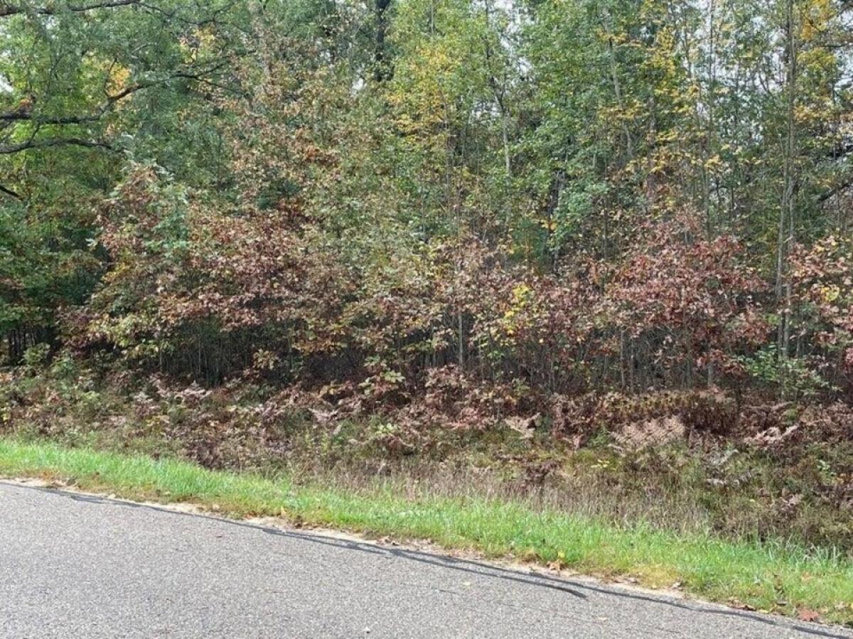 Picture of Residential Land For Sale in Houghton Lake, Michigan, United States