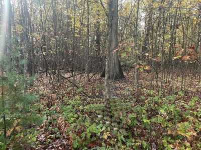 Residential Land For Sale in Houghton Lake, Michigan