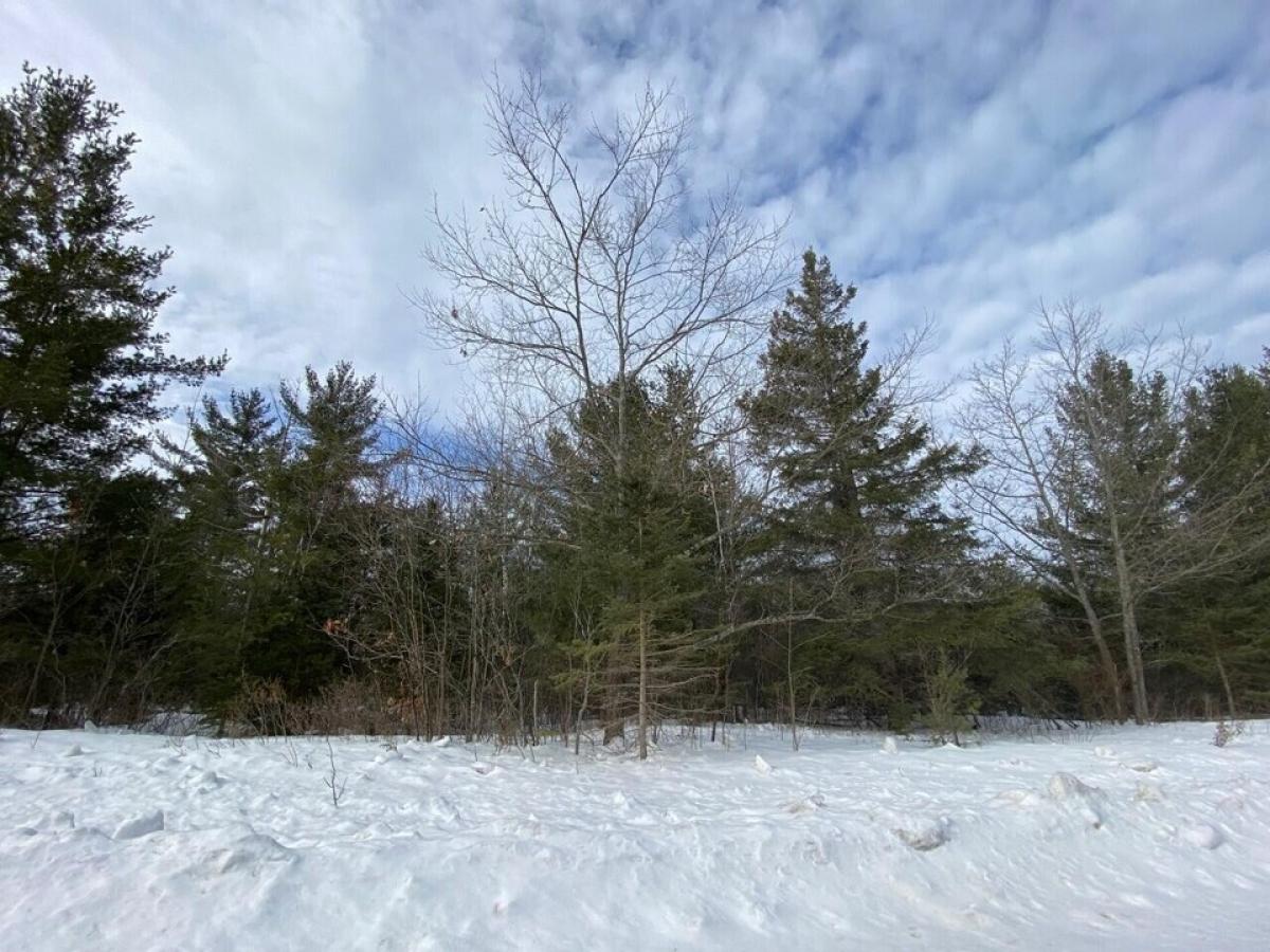 Picture of Residential Land For Sale in Presque Isle, Michigan, United States