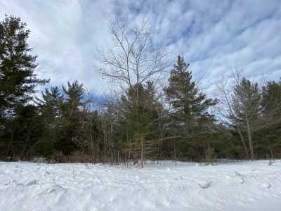 Residential Land For Sale in Presque Isle, Michigan