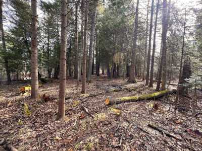 Residential Land For Sale in Cheboygan, Michigan