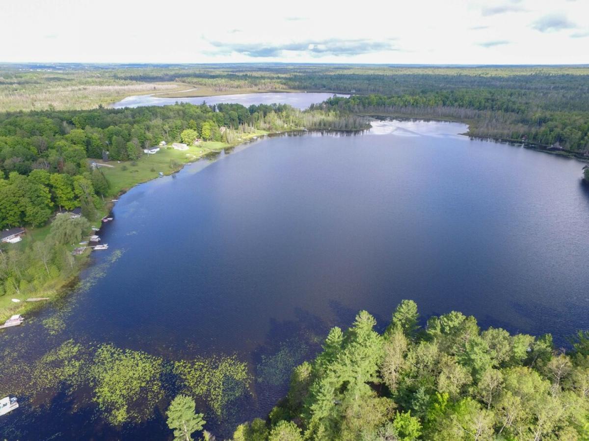 Picture of Residential Land For Sale in Millersburg, Michigan, United States