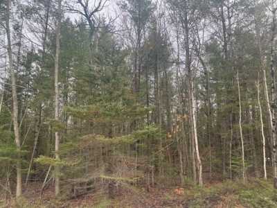 Residential Land For Sale in Presque Isle, Michigan