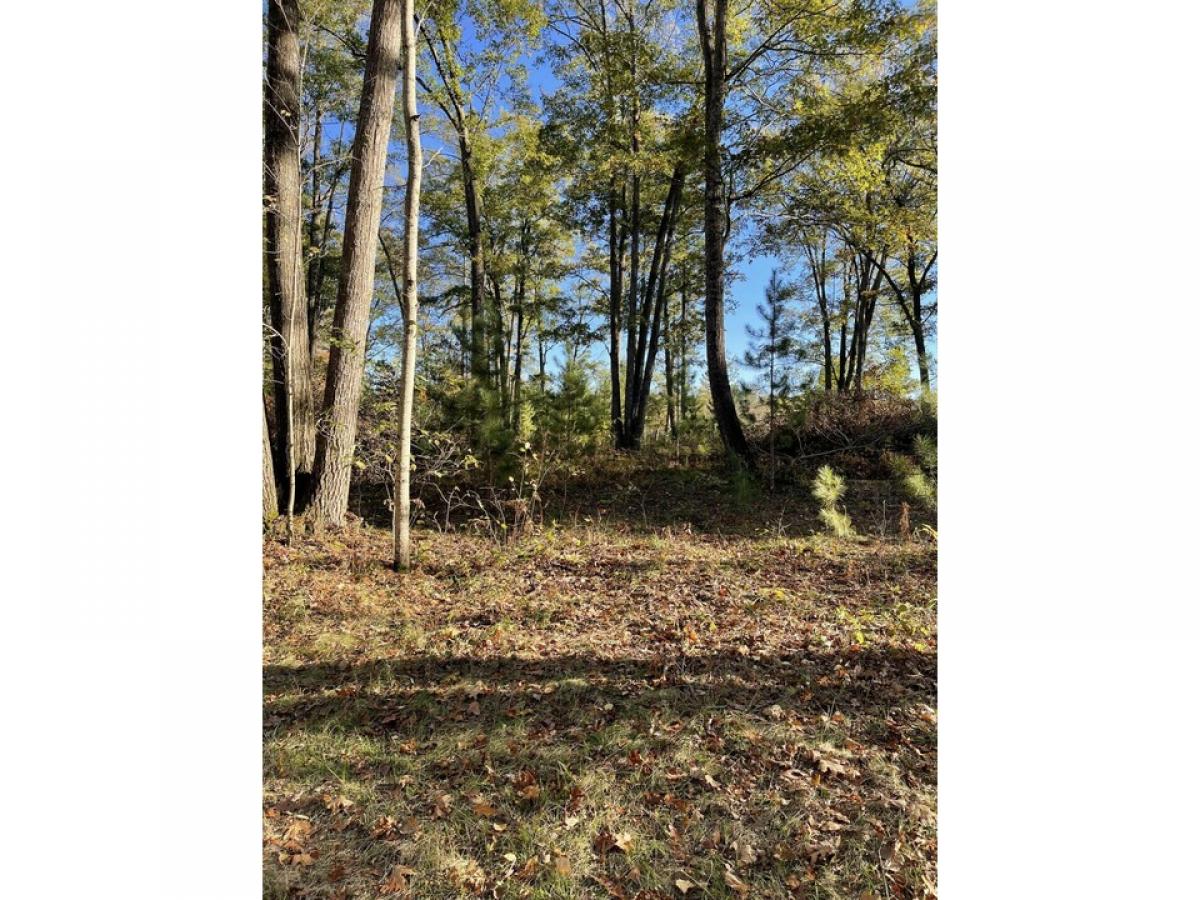 Picture of Residential Land For Sale in Spruce, Michigan, United States