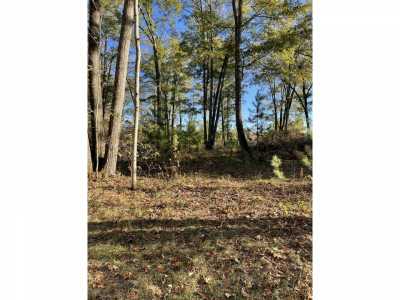 Residential Land For Sale in Spruce, Michigan