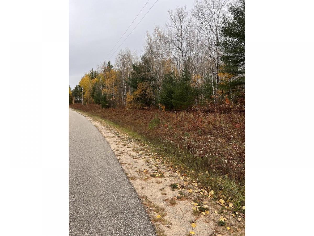 Picture of Residential Land For Sale in Elmira, Michigan, United States