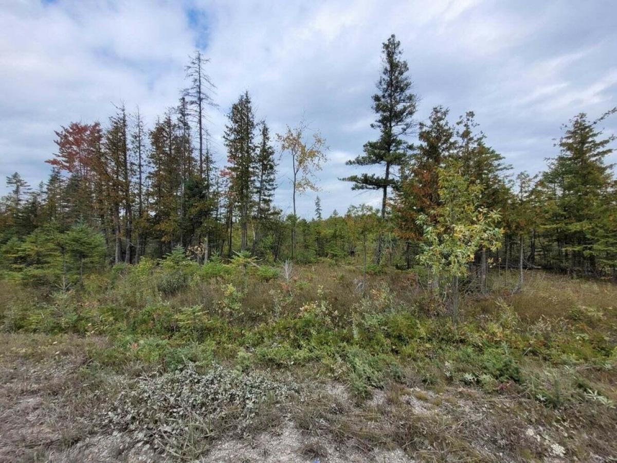 Picture of Residential Land For Sale in Rogers City, Michigan, United States