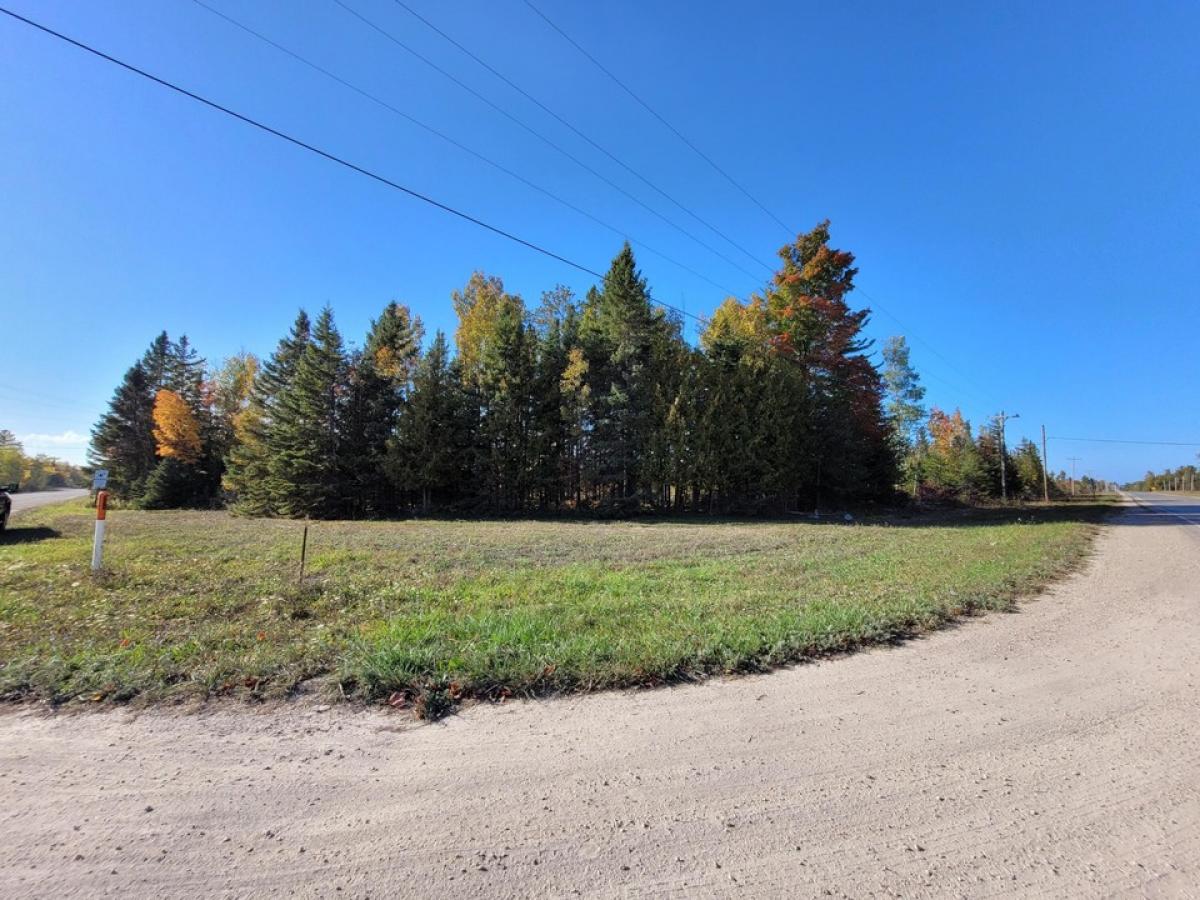 Picture of Residential Land For Sale in Rogers City, Michigan, United States