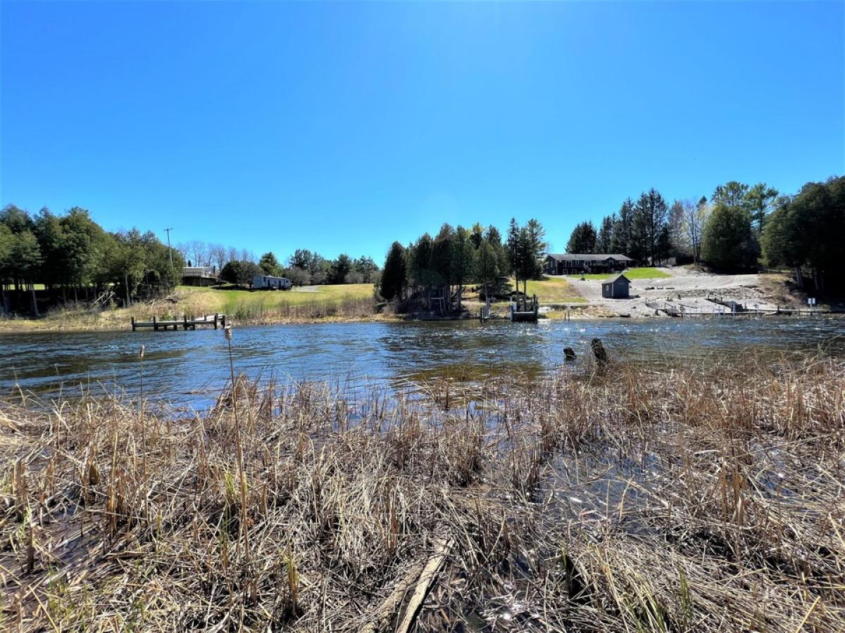 Picture of Residential Land For Sale in Cheboygan, Michigan, United States