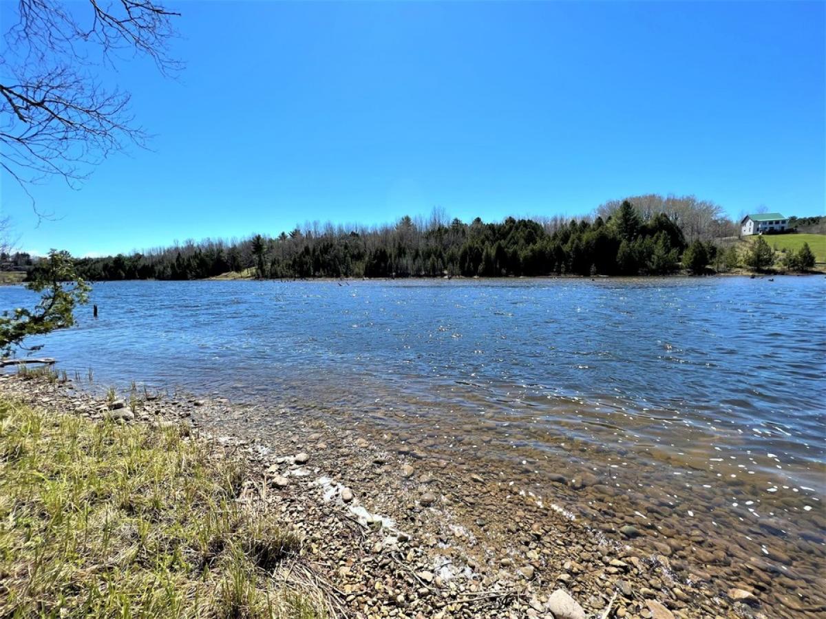 Picture of Residential Land For Sale in Cheboygan, Michigan, United States