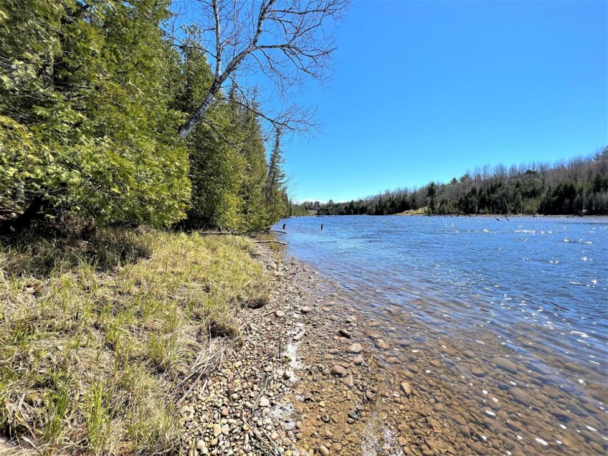 Picture of Residential Land For Sale in Cheboygan, Michigan, United States