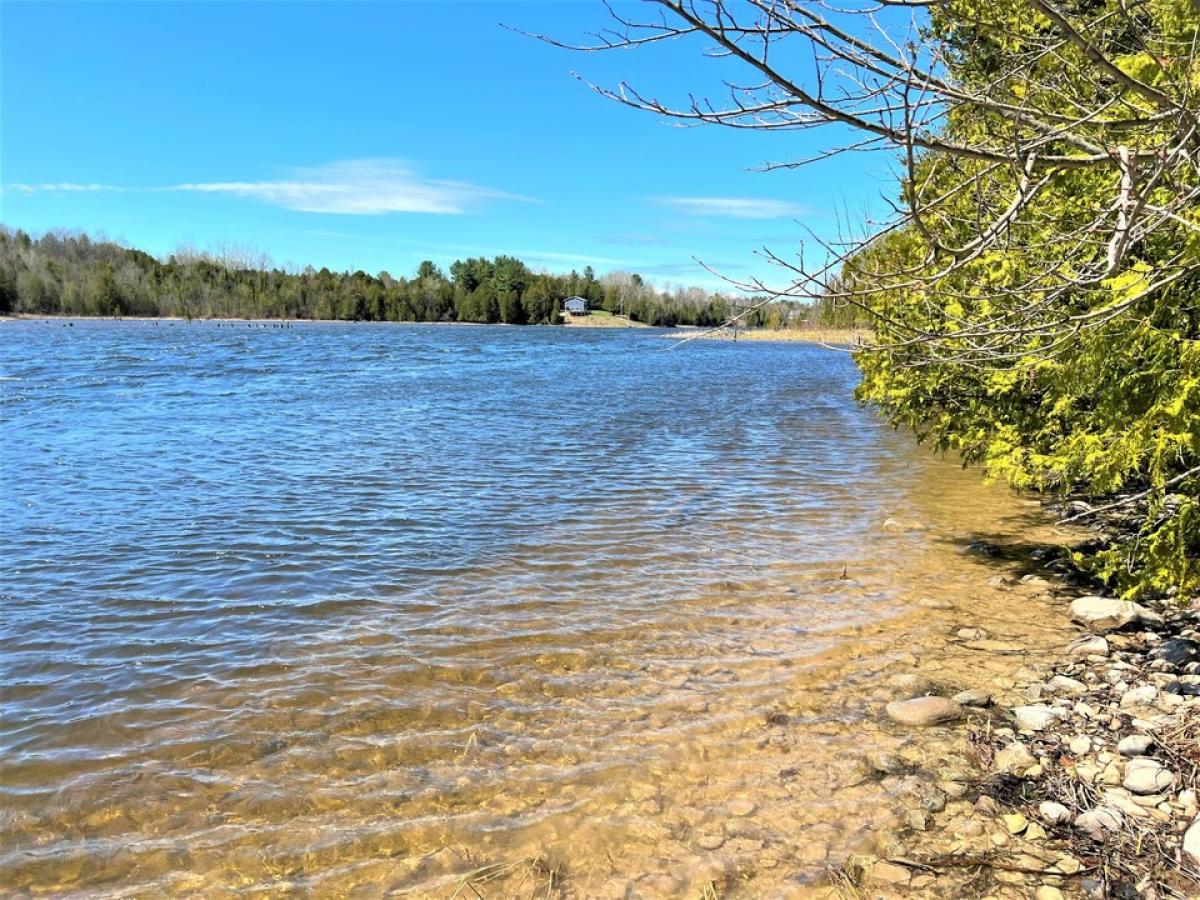 Picture of Residential Land For Sale in Cheboygan, Michigan, United States