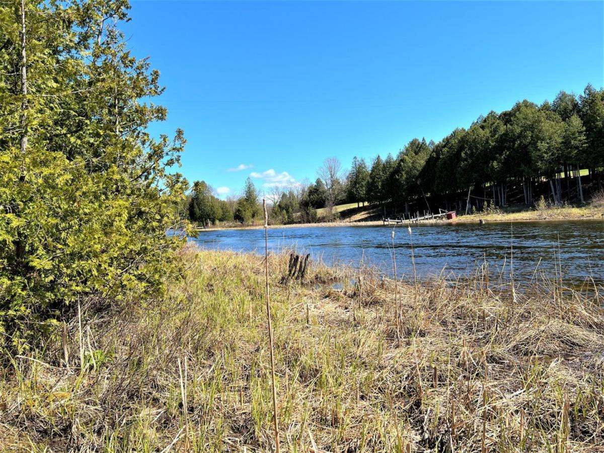 Picture of Residential Land For Sale in Cheboygan, Michigan, United States