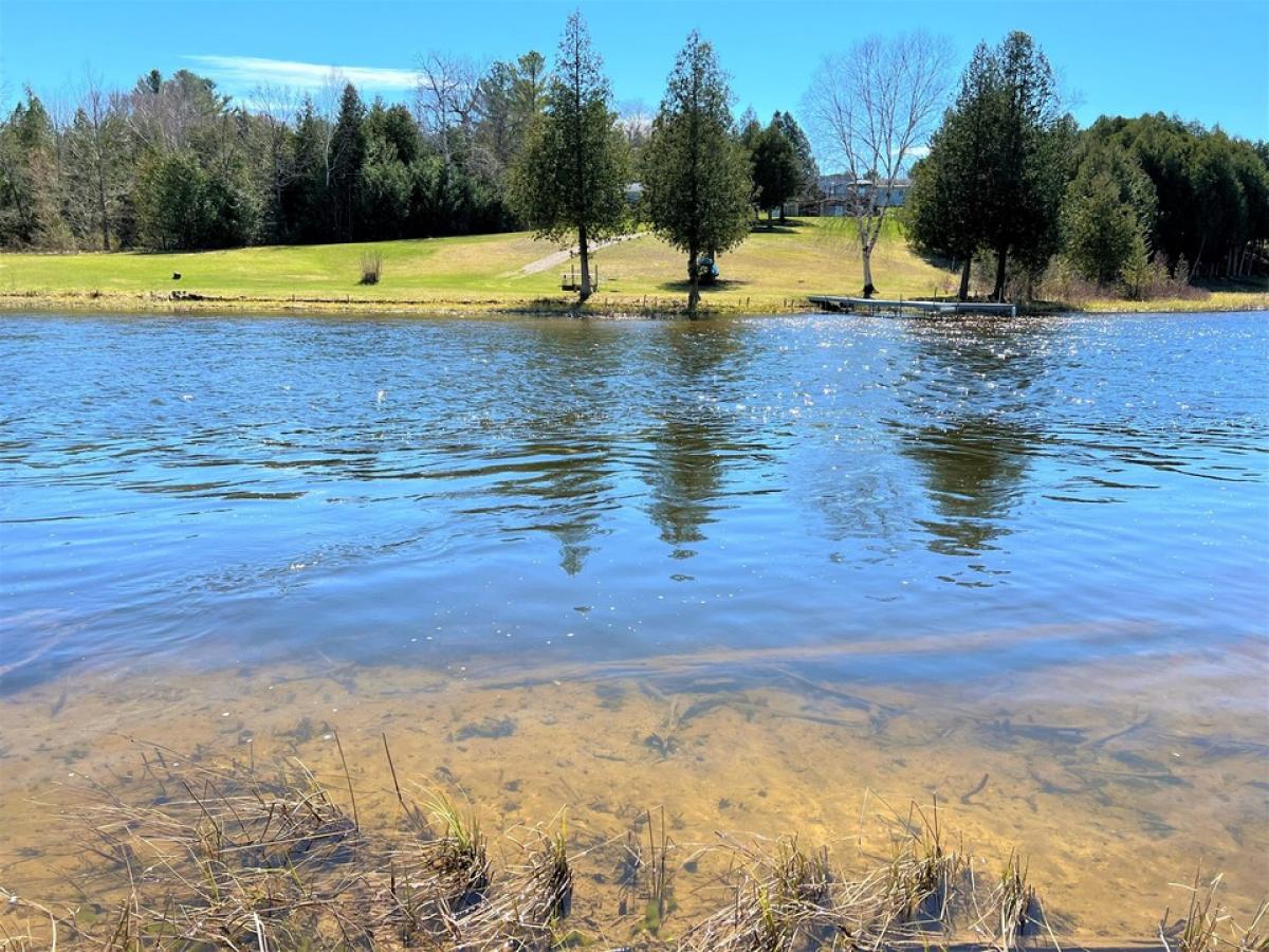 Picture of Residential Land For Sale in Cheboygan, Michigan, United States