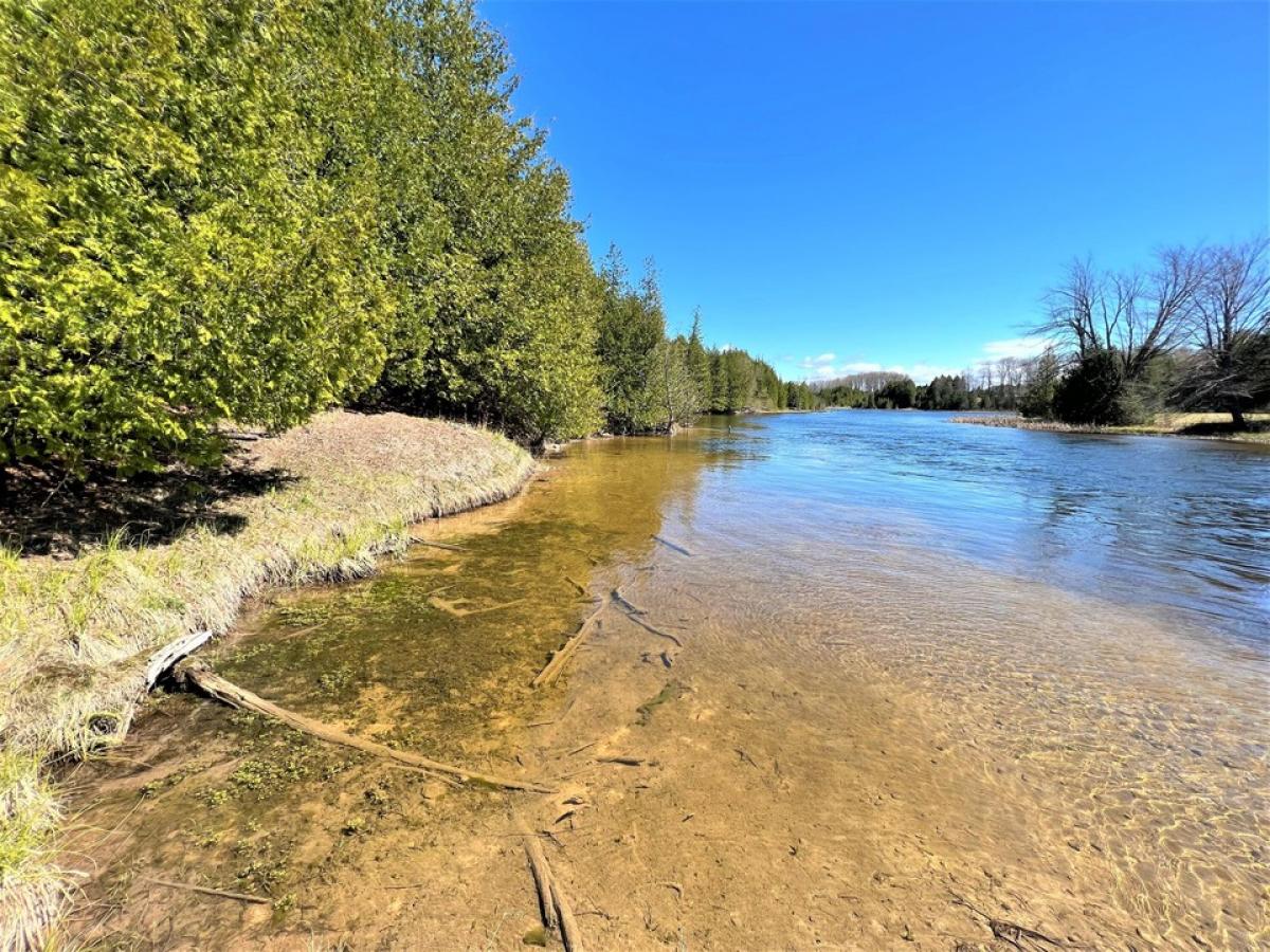 Picture of Residential Land For Sale in Cheboygan, Michigan, United States