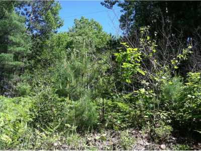 Residential Land For Sale in Spruce, Michigan