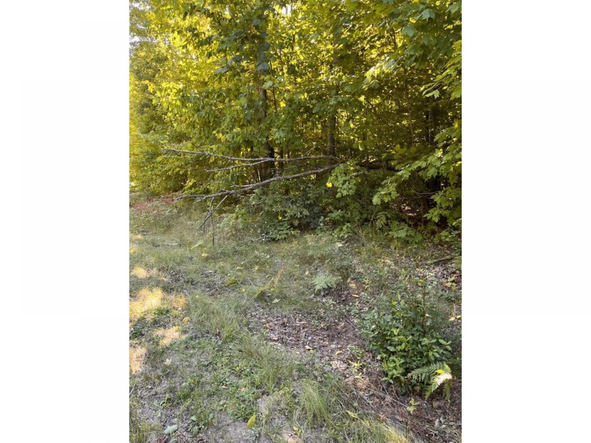 Picture of Residential Land For Sale in Grayling, Michigan, United States