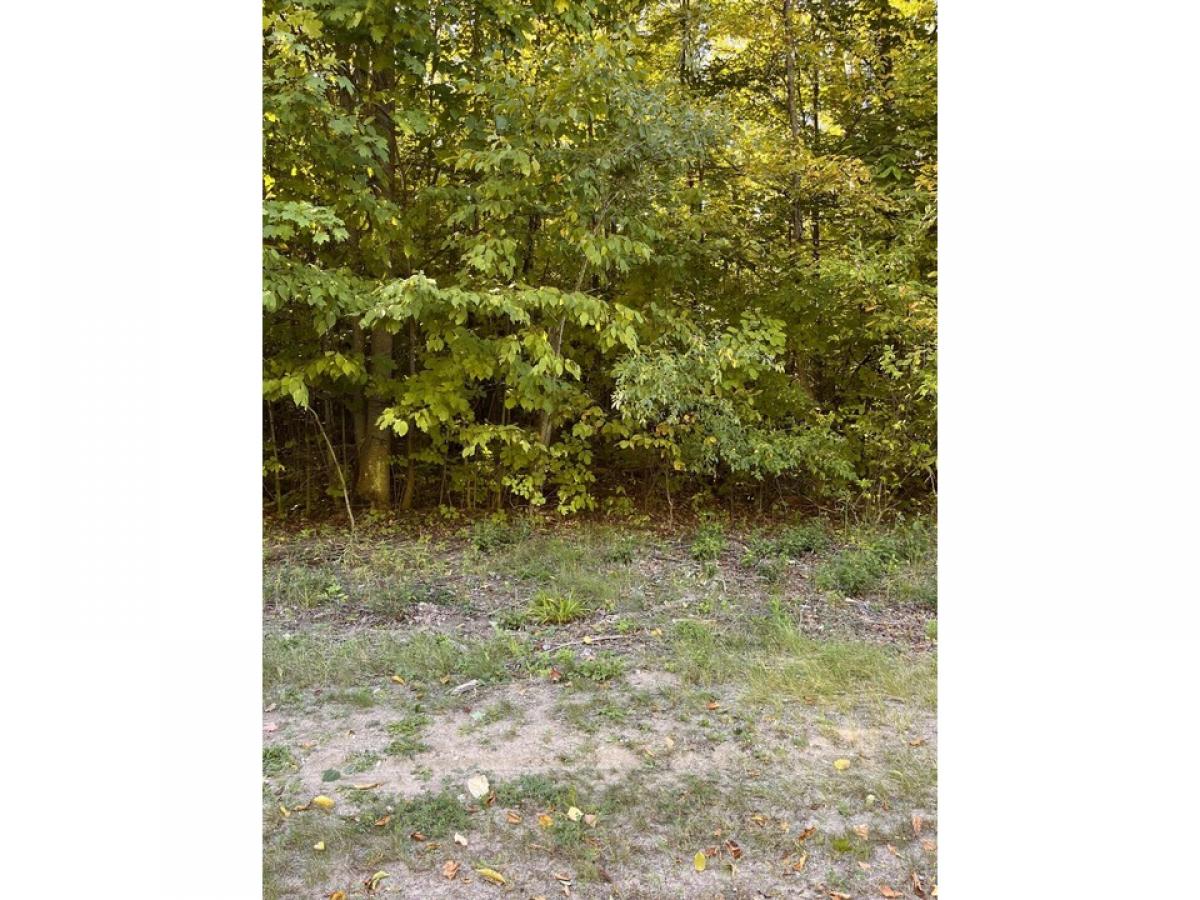 Picture of Residential Land For Sale in Grayling, Michigan, United States