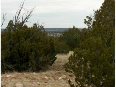 Residential Land For Sale in Heber, Arizona