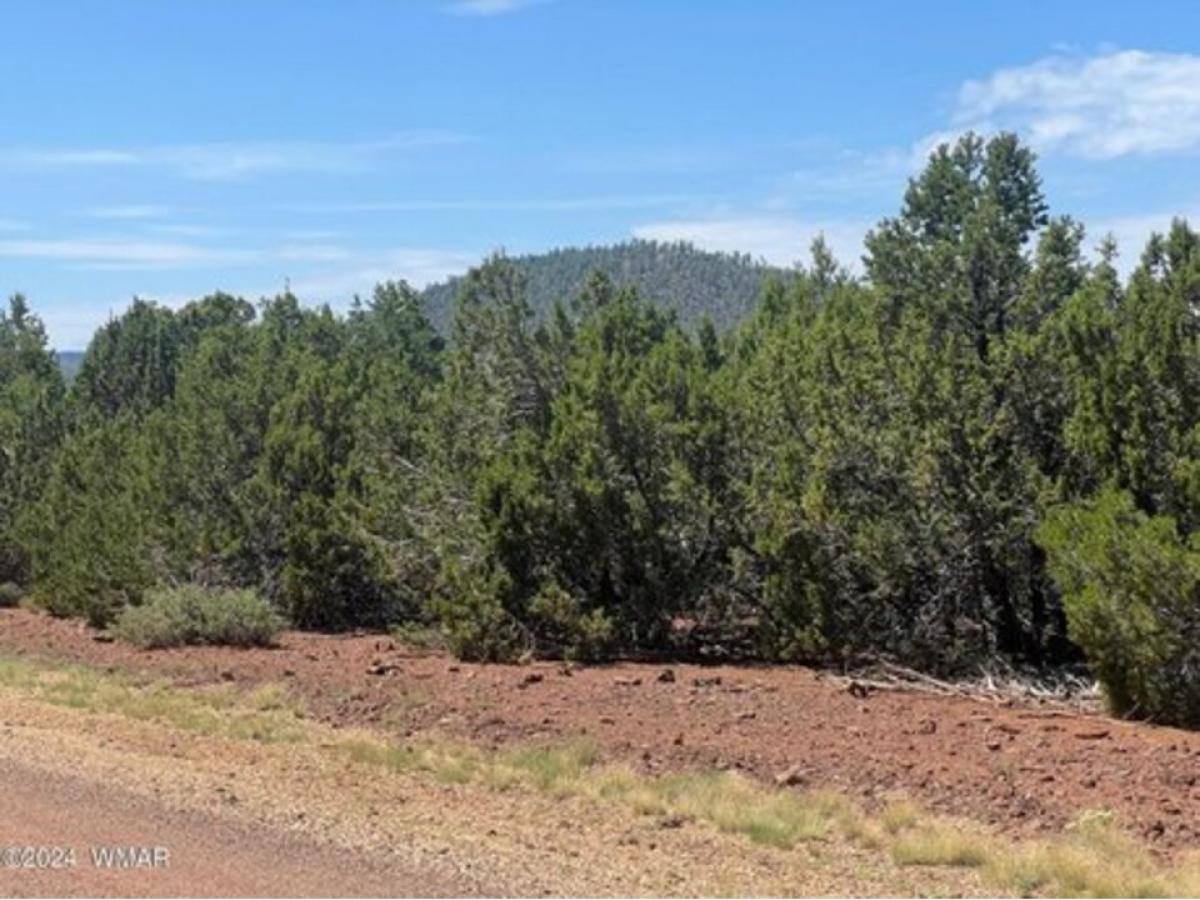 Picture of Residential Land For Sale in Vernon, Arizona, United States