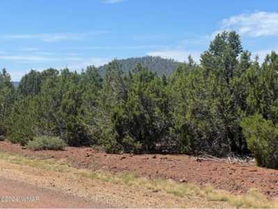 Residential Land For Sale in Vernon, Arizona