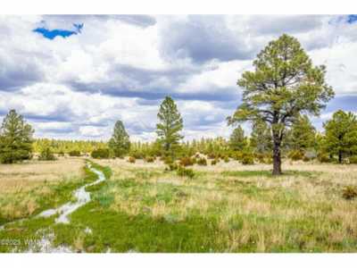 Residential Land For Sale in Vernon, Arizona