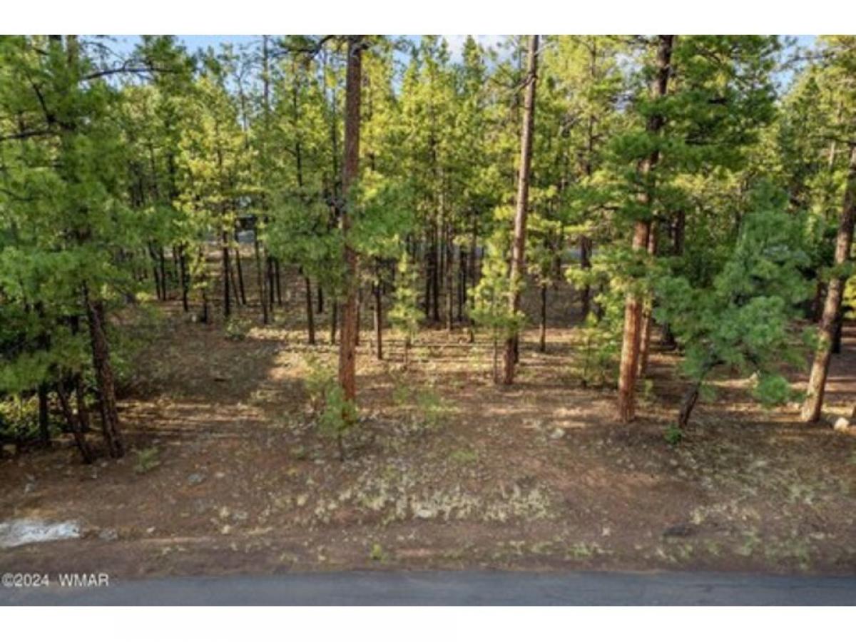 Picture of Residential Land For Sale in Pinetop, Arizona, United States