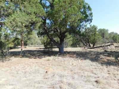 Residential Land For Sale in Overgaard, Arizona