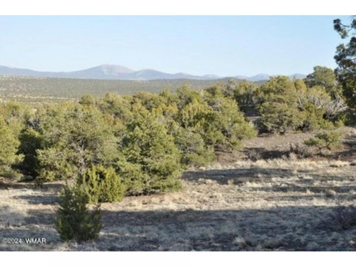 Picture of Residential Land For Sale in Vernon, Arizona, United States