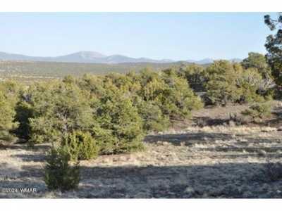 Residential Land For Sale in Vernon, Arizona