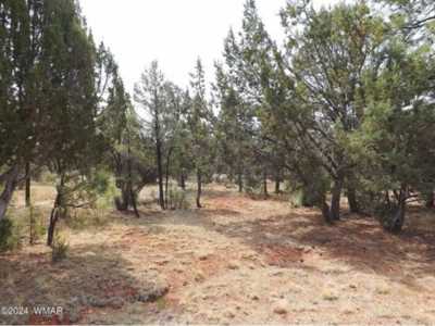 Residential Land For Sale in Overgaard, Arizona