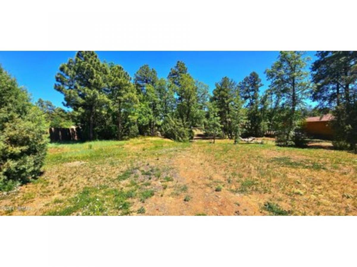 Picture of Residential Land For Sale in Lakeside, Arizona, United States