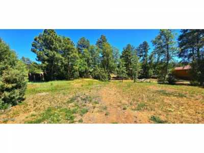 Residential Land For Sale in Lakeside, Arizona