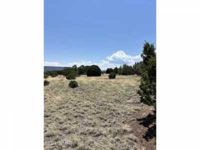 Residential Land For Sale in Eagar, Arizona