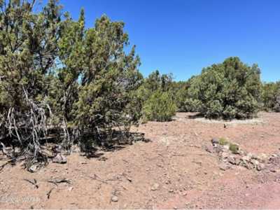 Residential Land For Sale in Vernon, Arizona