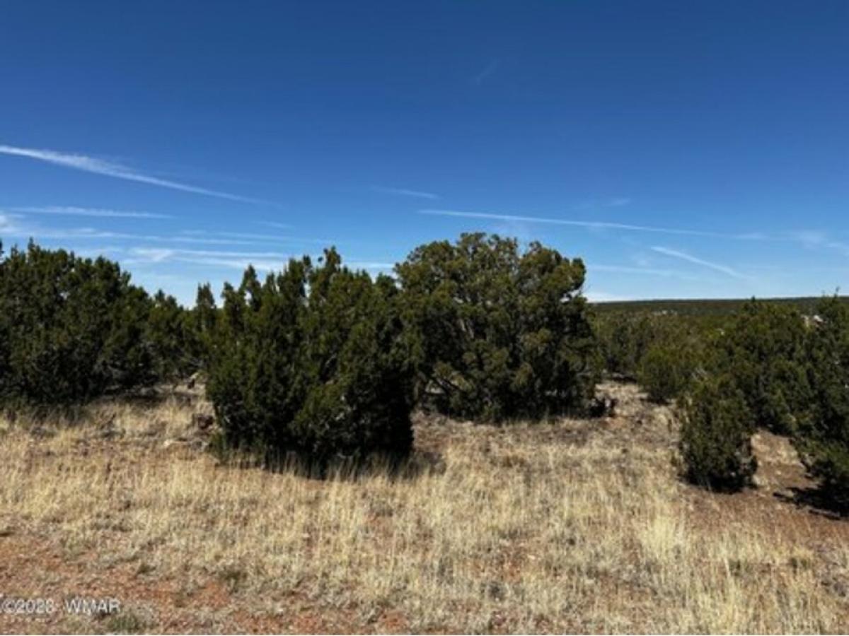 Picture of Residential Land For Sale in White Mountain Lake, Arizona, United States