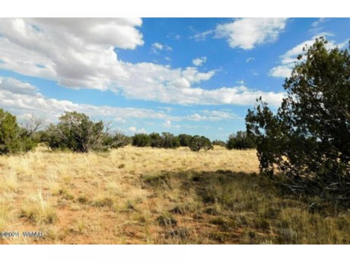 Picture of Residential Land For Sale in Heber, Arizona, United States