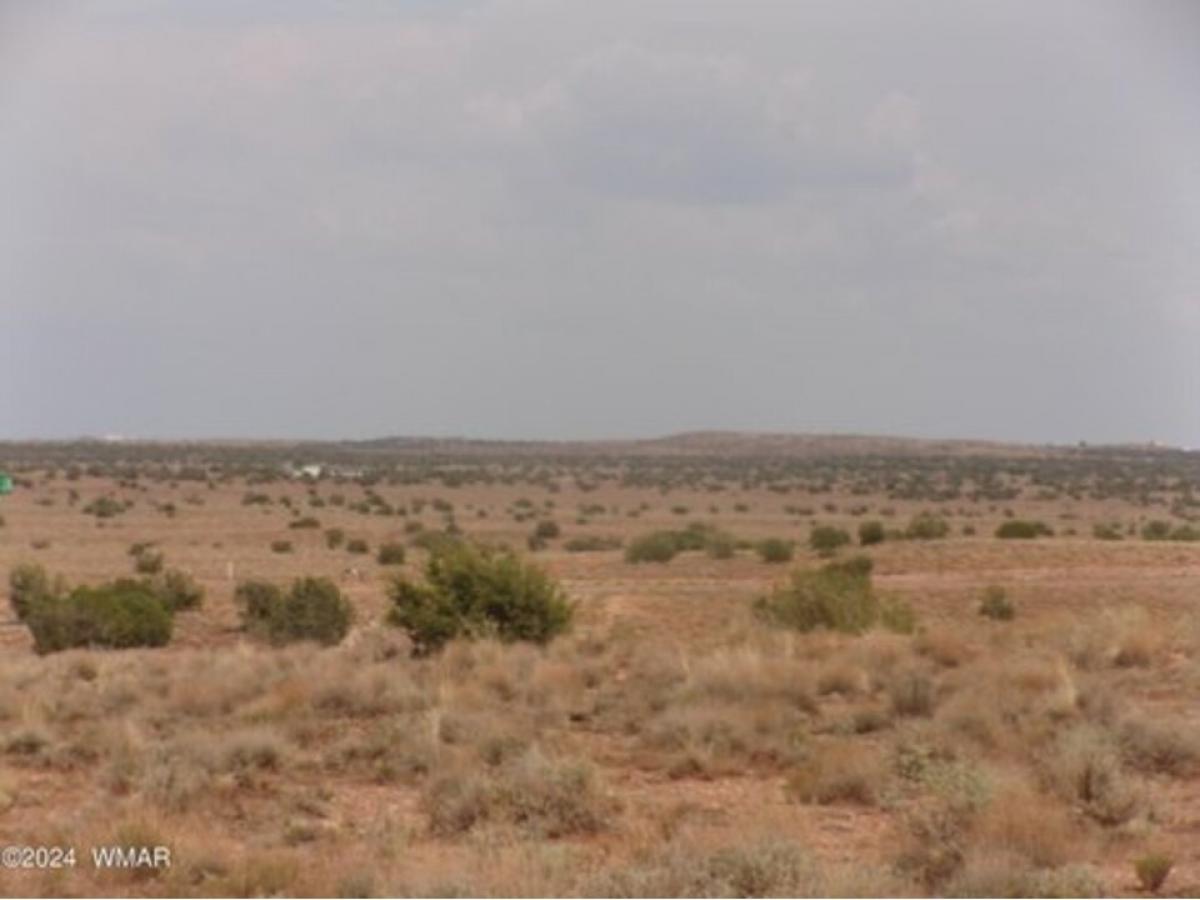 Picture of Residential Land For Sale in Holbrook, Arizona, United States