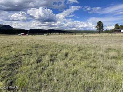 Residential Land For Sale in Alpine, Arizona