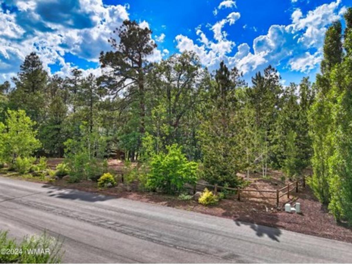 Picture of Residential Land For Sale in Pinetop, Arizona, United States