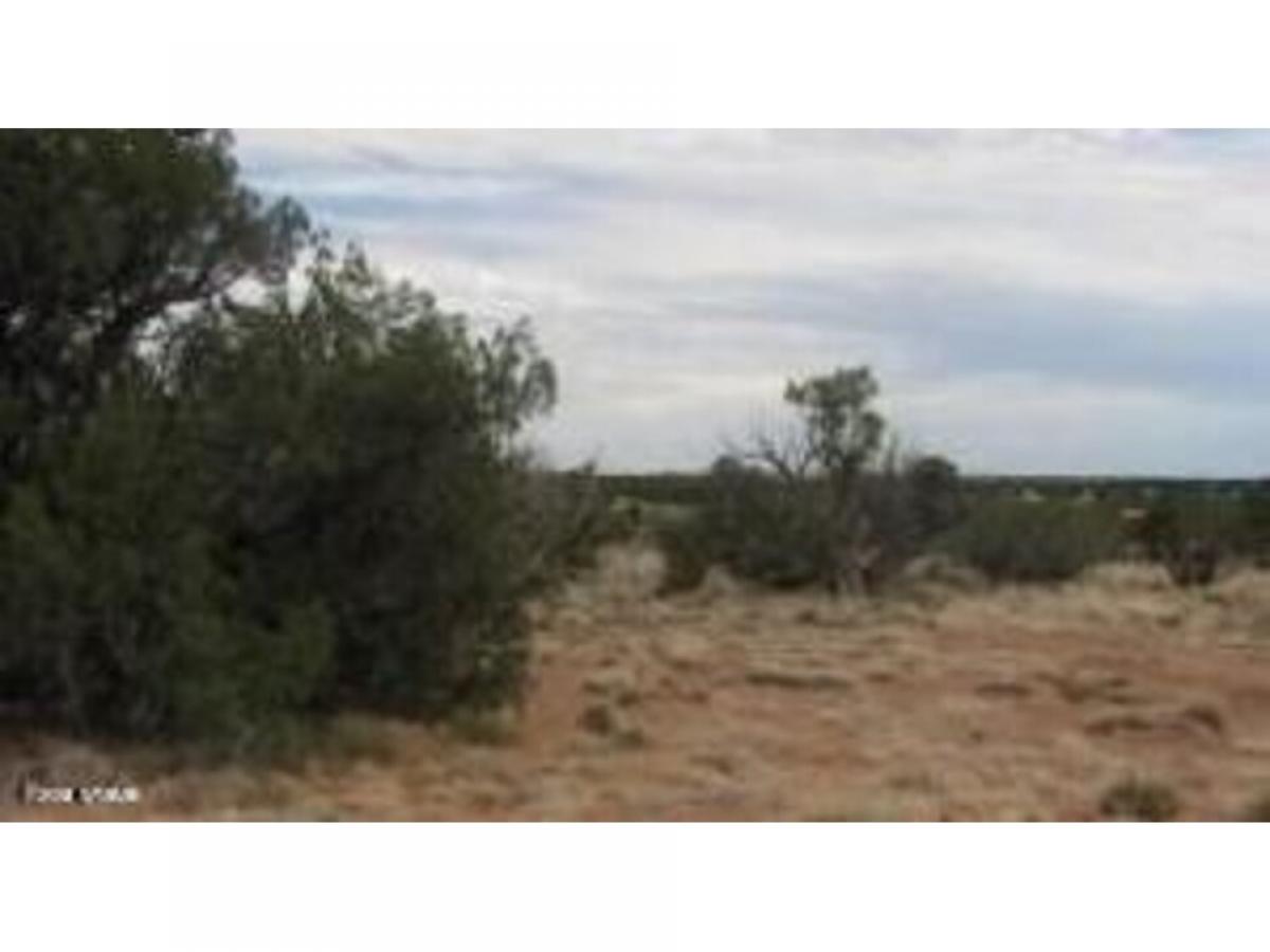 Picture of Residential Land For Sale in Heber, Arizona, United States