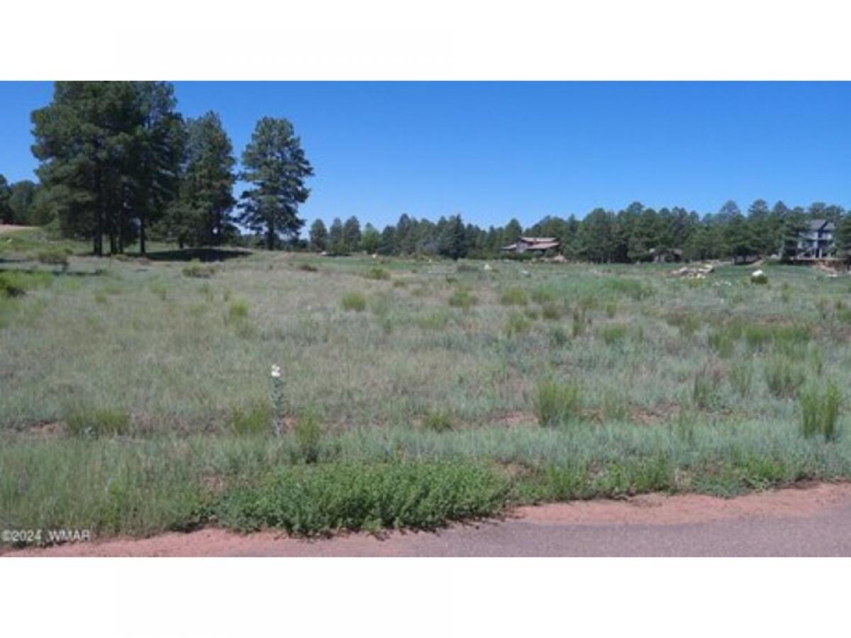 Picture of Residential Land For Sale in Overgaard, Arizona, United States