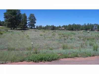 Residential Land For Sale in Overgaard, Arizona