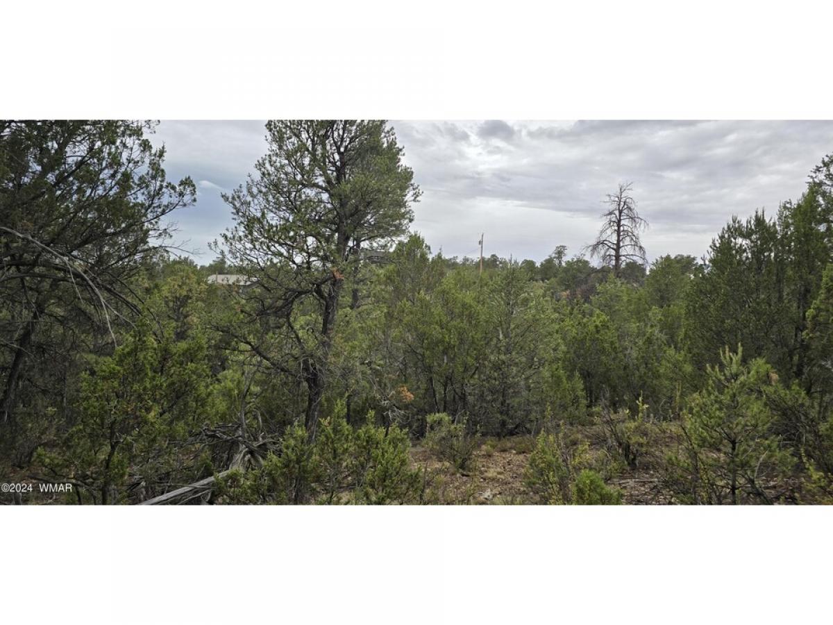 Picture of Residential Land For Sale in Heber, Arizona, United States