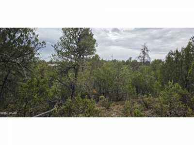 Residential Land For Sale in Heber, Arizona