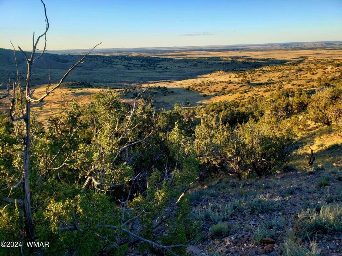 Picture of Residential Land For Sale in Concho Valley, Arizona, United States