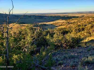 Residential Land For Sale in Concho Valley, Arizona