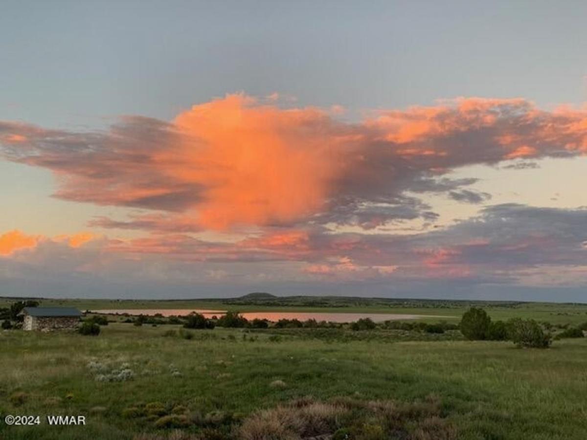 Picture of Home For Sale in Concho, Arizona, United States